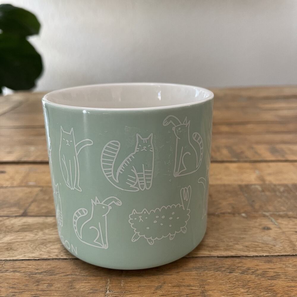 Parker Lane Mug Cat Person Coffee Tea Cup Mint Green Aqua 16 Oz Stoneware - Picture 3 of 10